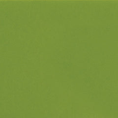Daltile Natural Hues 4'' x 8'' Matte Fern