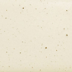 Daltile Natural Hues 12'' x 12'' Matte Freckles