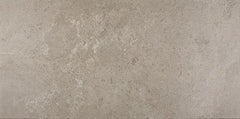 Daltile Advantage 12" X 24" Renoir Grey