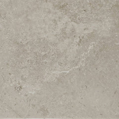 Daltile Scripter 24" X 24" Mentor