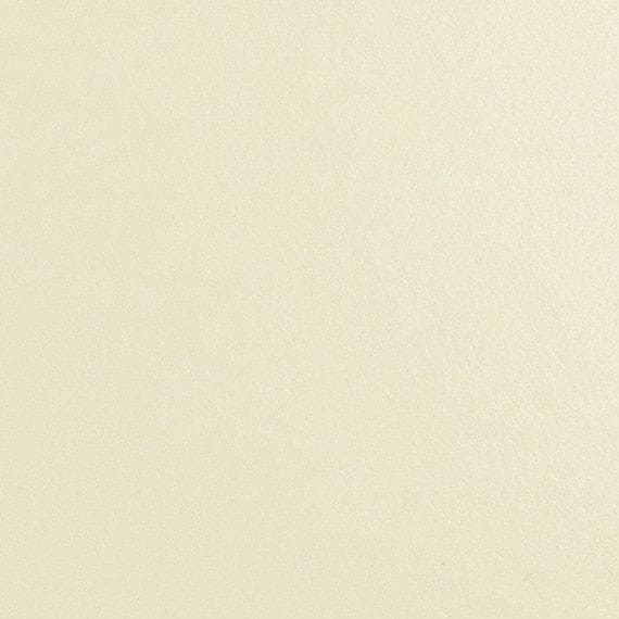 Daltile Natural Hues 12'' x 12'' Matte Ivory