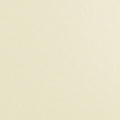 Daltile Natural Hues 12'' x 12'' Matte Ivory