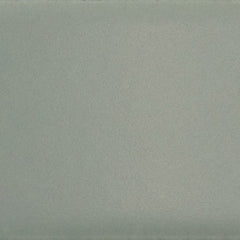 Daltile Natural Hues 2'' x 8'' Matte Cloud