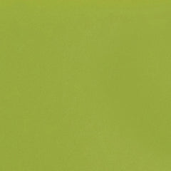 Daltile Natural Hues 2'' x 8'' Matte Kiwi