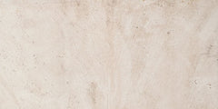 Daltile Imagica 12" X 24" Polished Vision