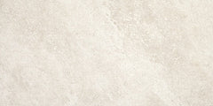 Daltile Choice 12" X 24" Fair