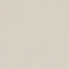 Daltile Prime 18" X 18" White KC01
