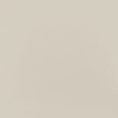 Daltile Minimum 24" X 24" Polished Beige