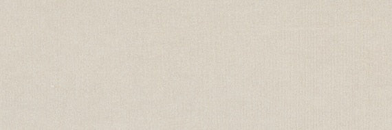 Daltile Prime 12" X 24" Matte White