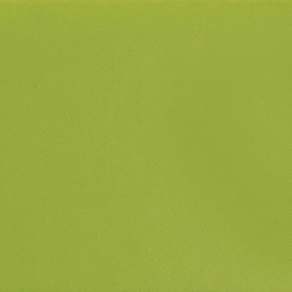 Daltile Color Complements 3" X 12" Matte Matte Kiwi
