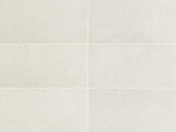 Daltile Outlander 12" X 24" Palazzo Moonlight