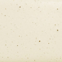 Daltile Natural Hues 2'' x 8'' Matte Freckles