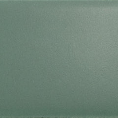 Daltile Colormatch 2" X 8" Matte Matte Ireland