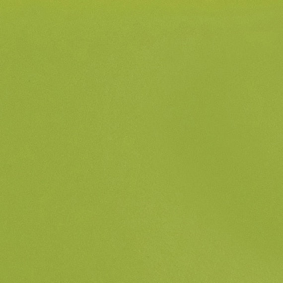 Daltile Natural Hues 6'' x 6'' Matte Kiwi