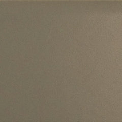 Daltile Colormatch 2" X 8" Matte Matte Mushroom