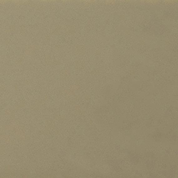 Daltile Natural Hues 12'' x 12'' Matte Birch