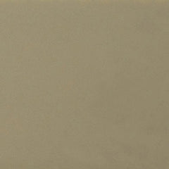 Daltile Natural Hues 12'' x 12'' Matte Birch