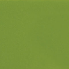 Daltile Colormatch 2" X 8" Matte Matte Fern