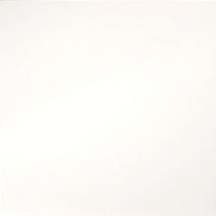 Emser Times Square 24"x24" Polished White