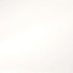 Emser Times Square 24"x24" Matte White