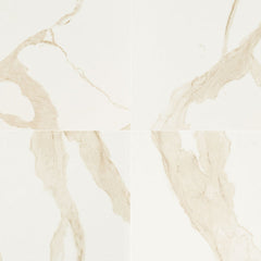 MS International Eden 24" x 24" Matte Calacatta