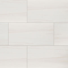 MS International Eden 12" x 24" Matte Dolomite