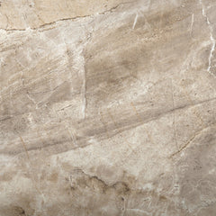 Emser Eurasia 12"x24" Café