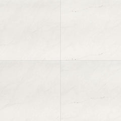 MS International Aria 24" x 24" Polished Ice