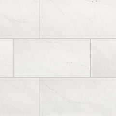 MS International Aria 24" x 48" Polished Ice
