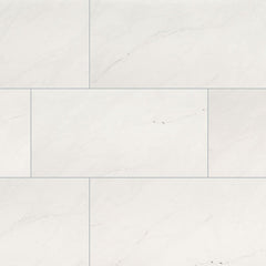 MS International Aria 12" x 24" Polished Ice