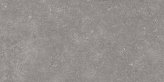 Emser Xtra 16"x31" Ashmont Gray