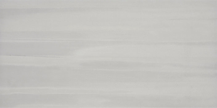 Emser Silhouette 12"x24" Contour