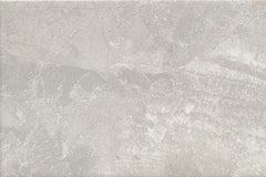 Emser Cavanite II 8"x12" Fawn