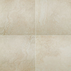 MS International Legend 20" x 20" Matte Moka