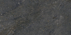 Emser Terramor 12"x24" Honed Nero