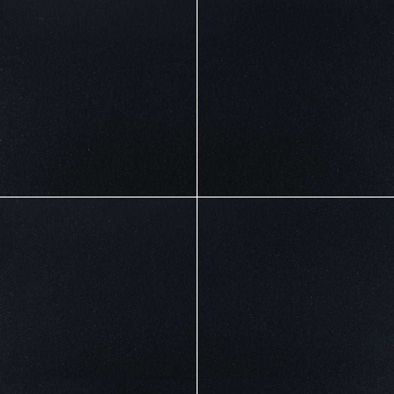 MS International Natural Stone Granite 12" x 12" Polished Premium Black