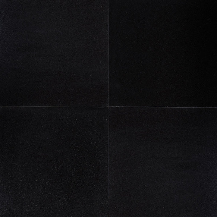 MS International Natural Stone Granite 18" x 18" Polished Premium Black