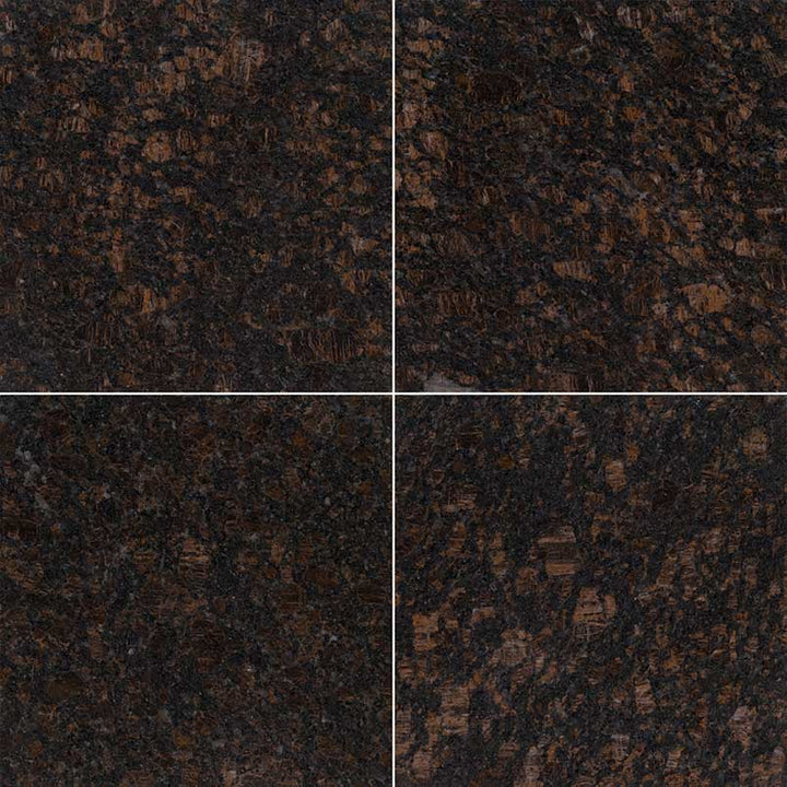 MS International Natural Stone Granite 12" x 12" Polished Tan Brown