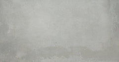 Emser Borigni 12"x23" Gray