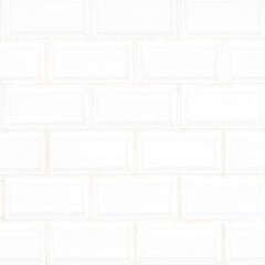 MS International Domino 12" x 12" Beveled Glossy 2" x 4" White